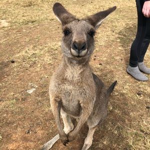 Meet your Posher, Marlene